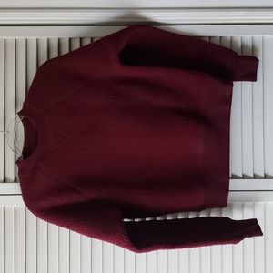 Everlane Raglan Fleece Sweatshirt